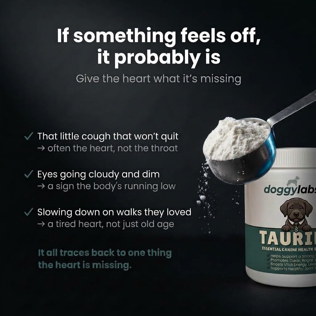 DoggyLabs™ Taurine