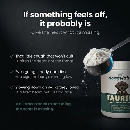 DoggyLabs™ Taurine