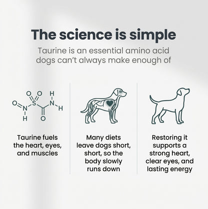 DoggyLabs™ Taurine