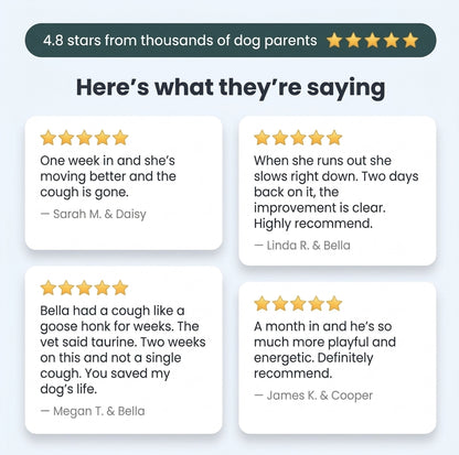DoggyLabs™ Taurine