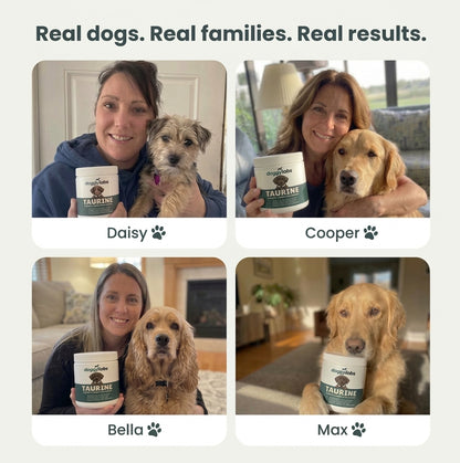 DoggyLabs™ Taurine